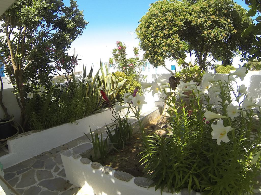 Kavaki Studios Mykonos Town Номер фото